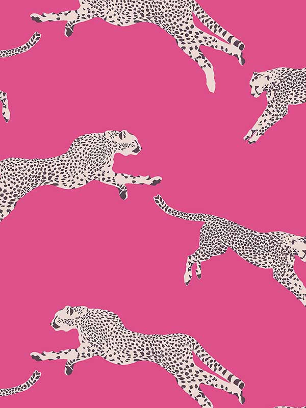 Scalamandre SC0003WP88449D Leaping Cheetah Bubblegum Wallpaper