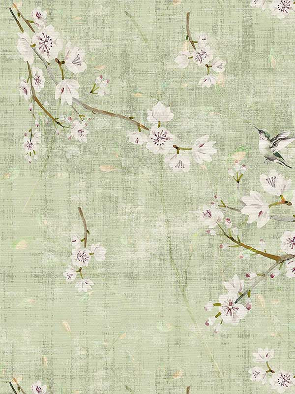 Scalamandre WNM1055BLOS Blossom Fantasia Celadon Wallpaper