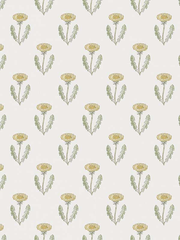 Scalamandre WSB0037S1013 Maskrosen Spring Green Wallpaper