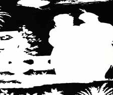 Quadrille - Paradise Background - 301980OWP - Black