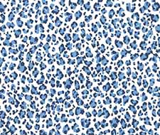 Quadrille - Bonaparte - 305083AWP - French Blue Navy