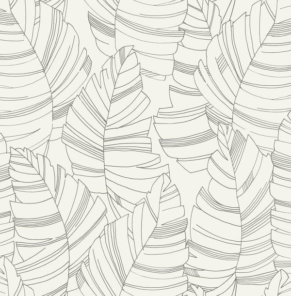 Seabrook Jungle Leaves Charcoal Wallpaper