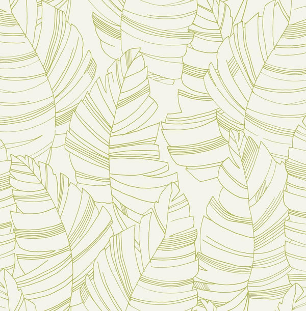 Seabrook Jungle Leaves Green Apple Wallpaper