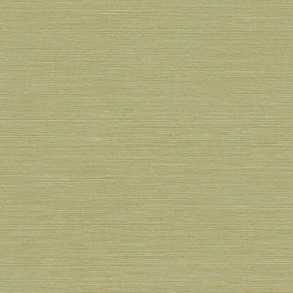 Seabrook Coastal Hemp Lime Moss Wallpaper
