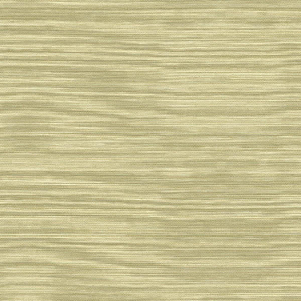 Seabrook Coastal Hemp Aloe Wallpaper