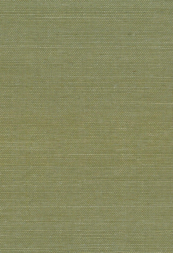 Seabrook Sisal Green Wallpaper