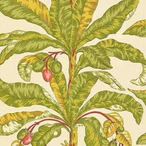 Schumacher - Blair House Palm - Tropical - 5004063 - Wallpaper
