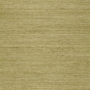 Schumacher - Haruki Sisal - Olive - 5004709 - Wallpaper