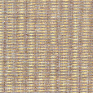 Schumacher - Anodized Raffia - Gold - 5007782 - Wallpaper