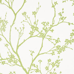 Schumacher - Twiggy Paperweave - Leaf - 5008941 - Wallpaper