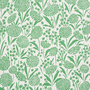 Schumacher - Chrysanthemum - Green - 5009551 - Wallpaper