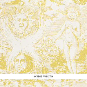 Schumacher - Modern Toile - Yellow - 5010422 - Wallpaper