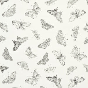Schumacher - Burnell Butterfly - Ivory - 5011740 - Wallpaper
