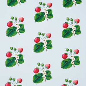 Schumacher - Strawberry Hill - Blue - 5014321 - Wallpaper