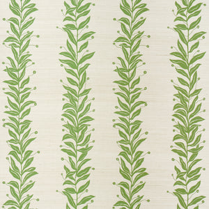 Schumacher - Tendril Stripe Sisal - Olive - 5015560 - Wallpaper