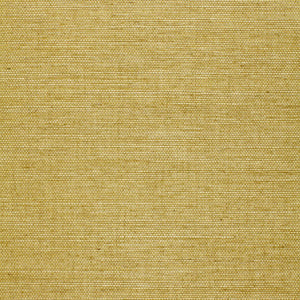 Schumacher - Osan Sisal - Lime - 529630 - Wallpaper