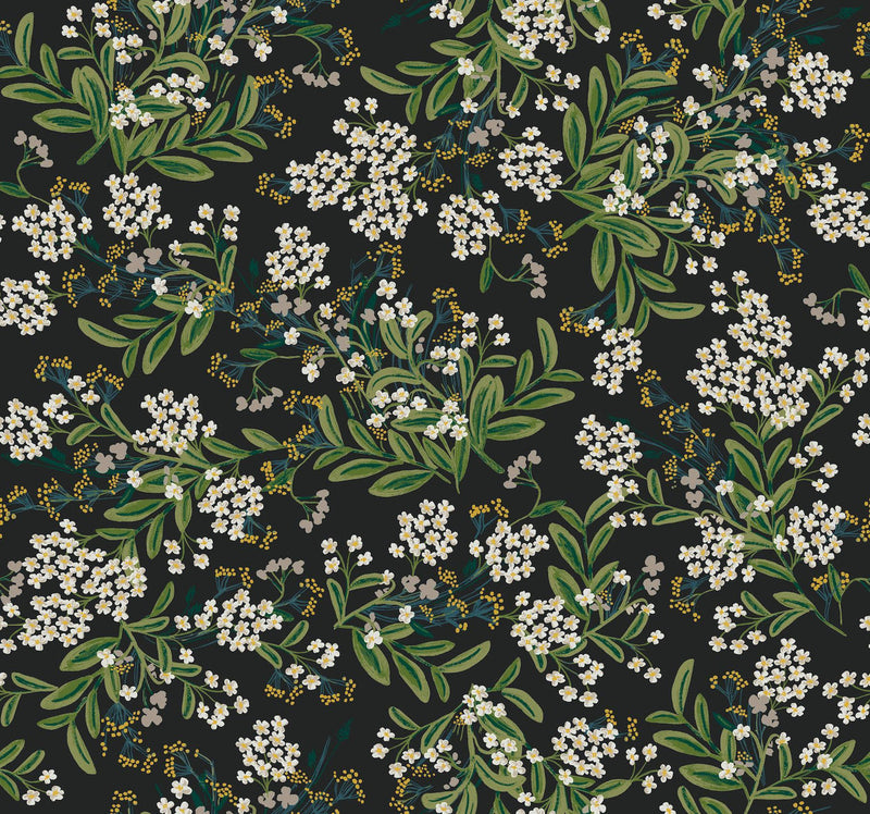 Rifle Paper Co. Cornflower Black Wallpaper