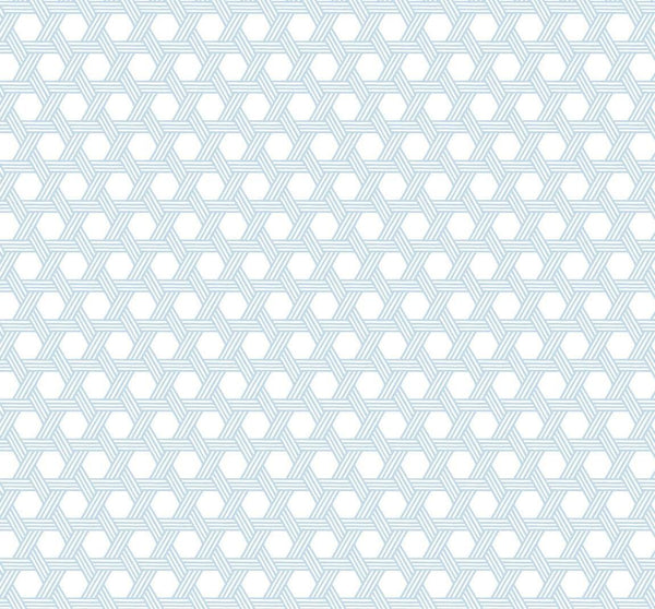 Seabrook Cabana Wicker Carolina Blue And Eggshell Wallpaper
