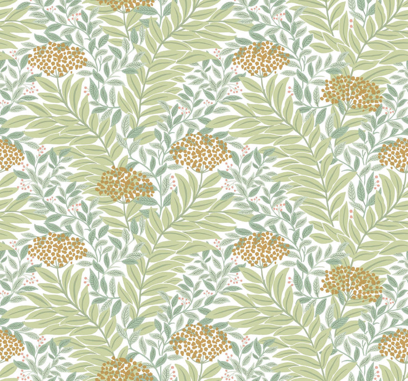 Rifle Paper Co. Highgrove Green Wallpaper