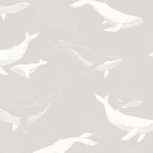 Schumacher - Whales - Grey - 7452 - Wallpaper