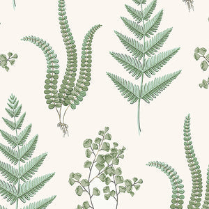 Schumacher - Herba - Leaf - 7657 - Wallpaper
