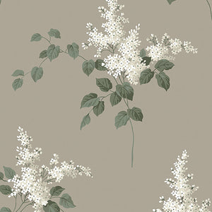 Schumacher - Lilacs - Grisaille - 7667 - Wallpaper