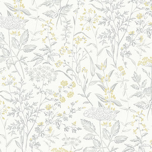 Schumacher - Delicate Dance - Grey And Yellow - 9337 - Wallpaper
