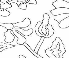 Alan Campbell - Potalla Outline - AP804L-30 - Black