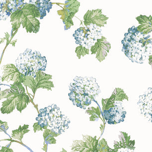 SUSSEX HYDRANGEA - Blue and Green - Thibaut - AT57846 - BRISTOL