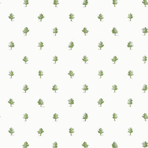 ASHTON - Green - Thibaut - AT57875 - BRISTOL