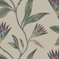 AT9617 | Cleo Vine, Savoy - Anna French Wallpaper