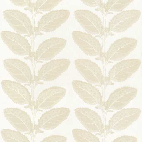 Lacinato Birch Fabric - F912041 - Thibaut Fabric