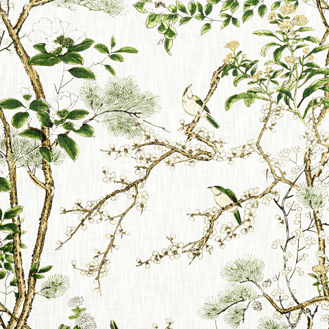 Katsura Green and White Fabric - F913621 - Thibaut Fabric