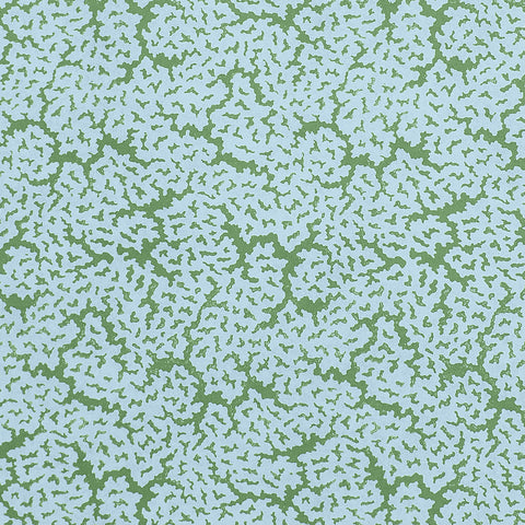 Maldives Blue and Green Fabric - F942044 - Thibaut Fabric