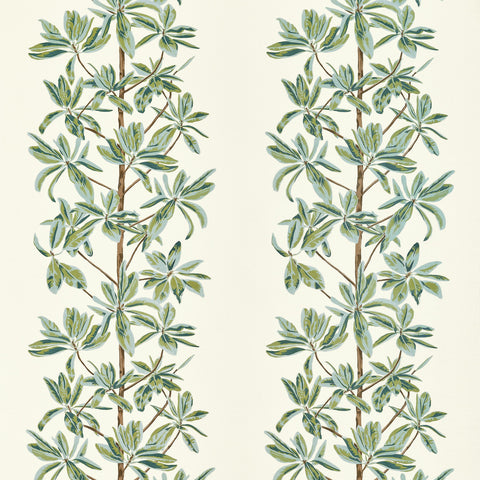 Mangrove Tree Sage Fabric - F945034 - Thibaut Fabric