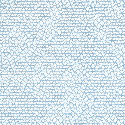 Maluku Light Blue Fabric - F981327 - Thibaut Fabric