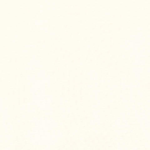 Asher Natural Fabric - FWW81723 - Thibaut Fabric