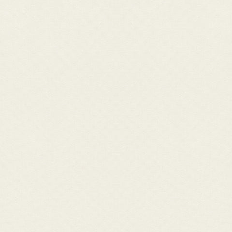 Asher Salt Fabric - FWW81724 - Thibaut Fabric