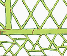 China Seas - Lyford Trellis - 6020W-09 - Lime Forest Green Tobacco