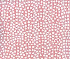 Alan Campbell - Mojave - AP709-2 - Pinks