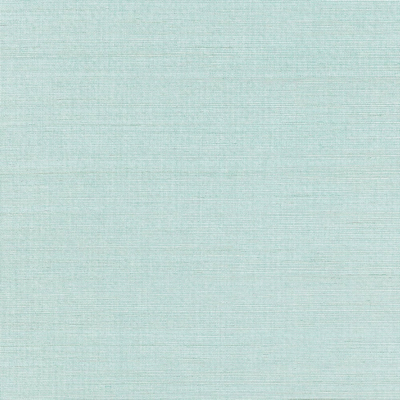 SHANG EXTRA FINE SISAL - Thibaut - Wallpaper - T19615