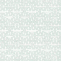 T41017 | Hinton Tunnel, Mist - Thibaut Wallpaper