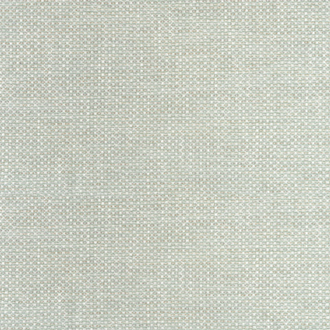 Cascade Celadon Fabric - W75257 - Thibaut Fabric