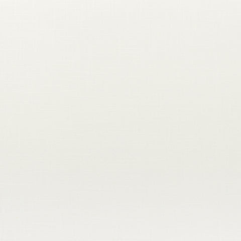 Lira Snow White Fabric - W80461 - Thibaut Fabric