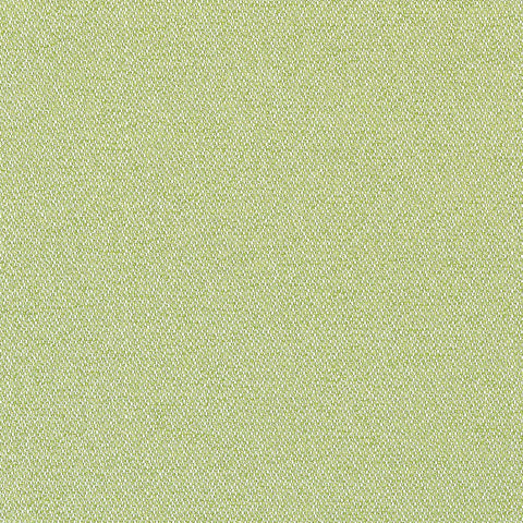 Castaway Kiwi Fabric - W81712 - Thibaut Fabric