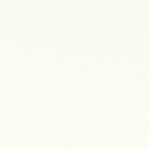 Mirasol Velvet Ivory Fabric - W81734 - Thibaut Fabric