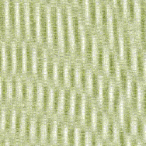 Finn Kiwi Fabric - W81759 - Thibaut Fabric