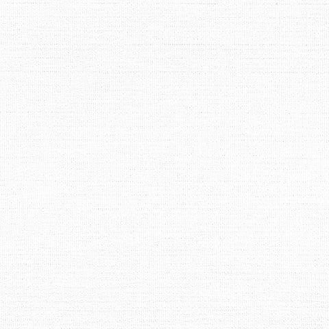 Petra Bleach White Fabric - W8736 - Thibaut Fabric