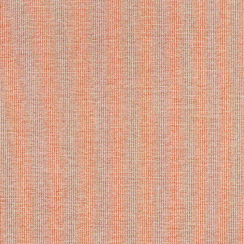 Sacchi Terracotta Fabric - W8761 - Thibaut Fabric