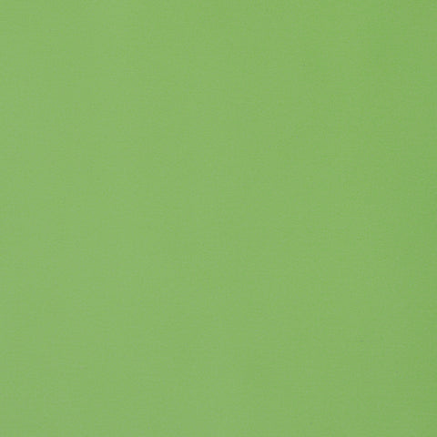 Lyra Velvet Grass Fabric - W8924 - Thibaut Fabric